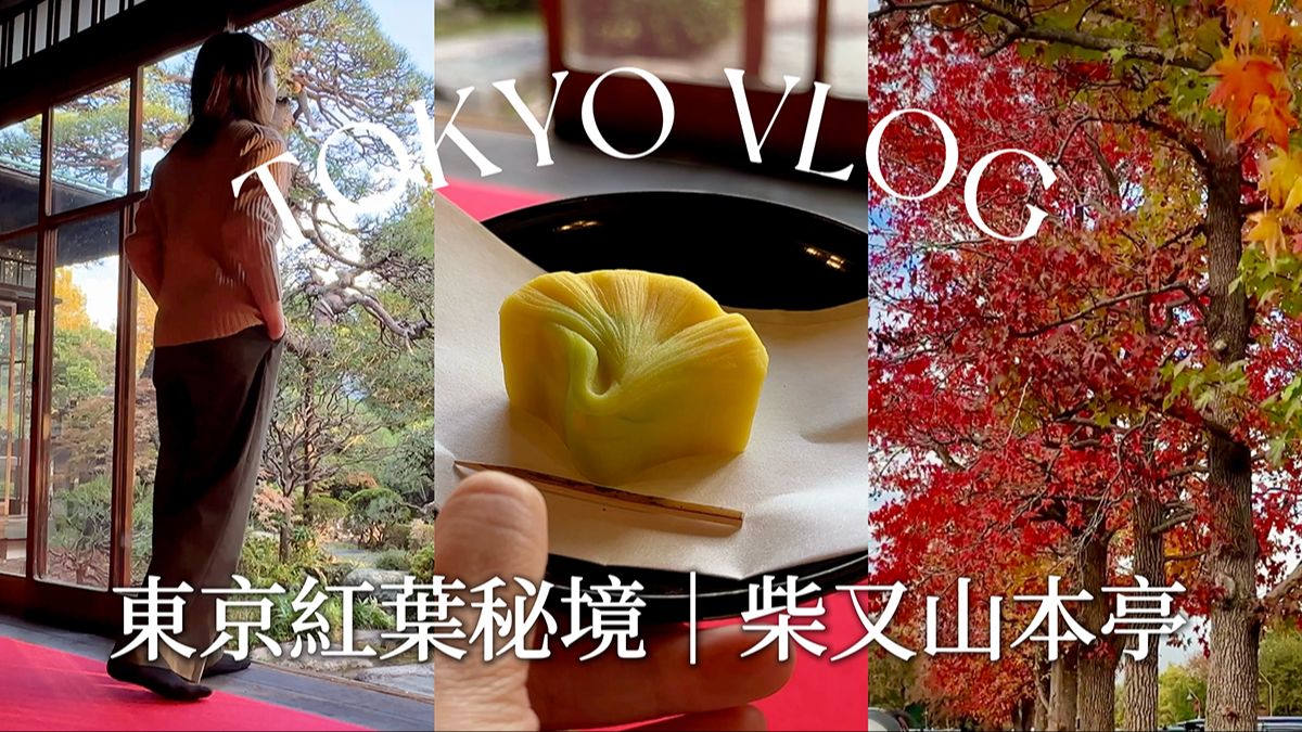 【东京红叶秘境 】水元公园 水杉森林赏红叶|柴又老街 怀念的古早味|日式庭园 山本亭 和菓子抹茶日式午茶|Tokyo Vlog|日本旅行与生活哔哩哔哩bilibili