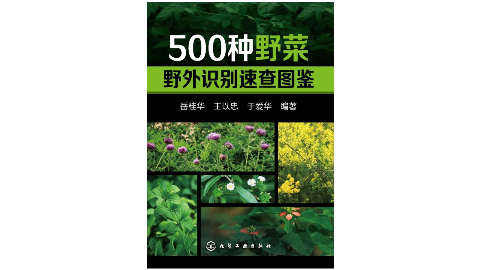 [图]《500种野菜野外识别速查图鉴》电子书PDF