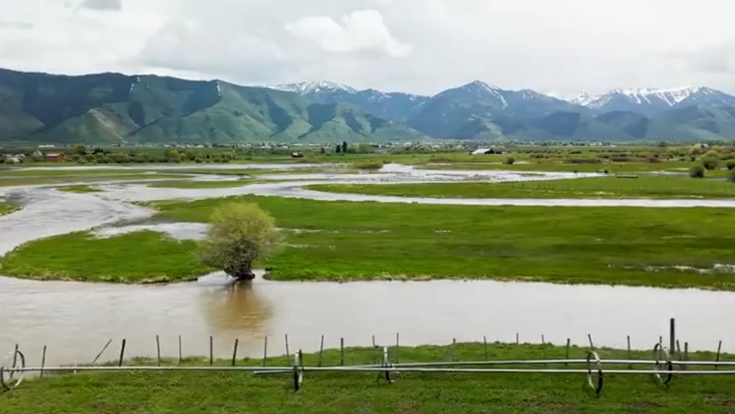 城市c位出道計劃:2六安小眾旅遊線路人少景美花費少住宿就在白鷺園峪