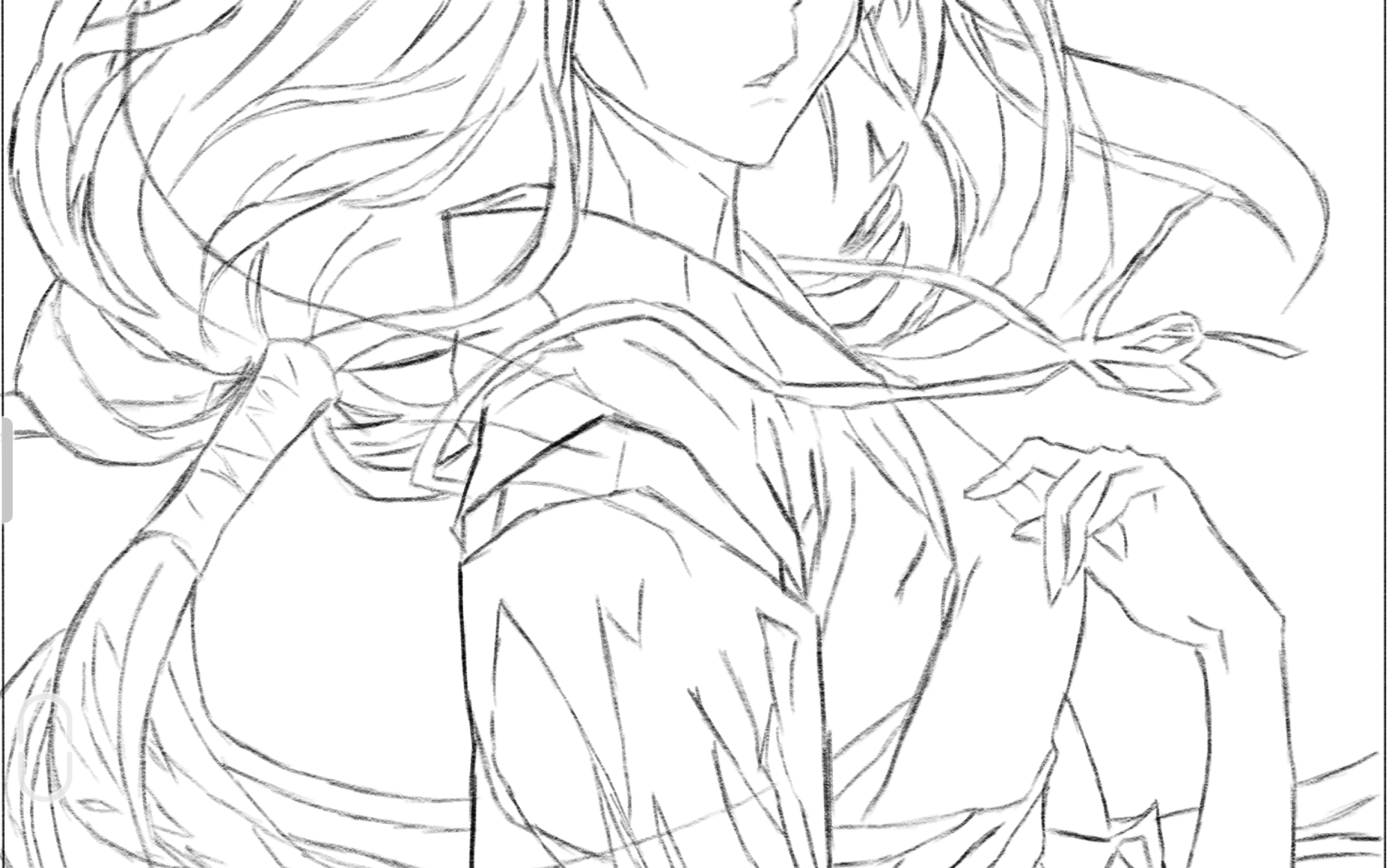 活动作品sketchbook临摹作桔梗