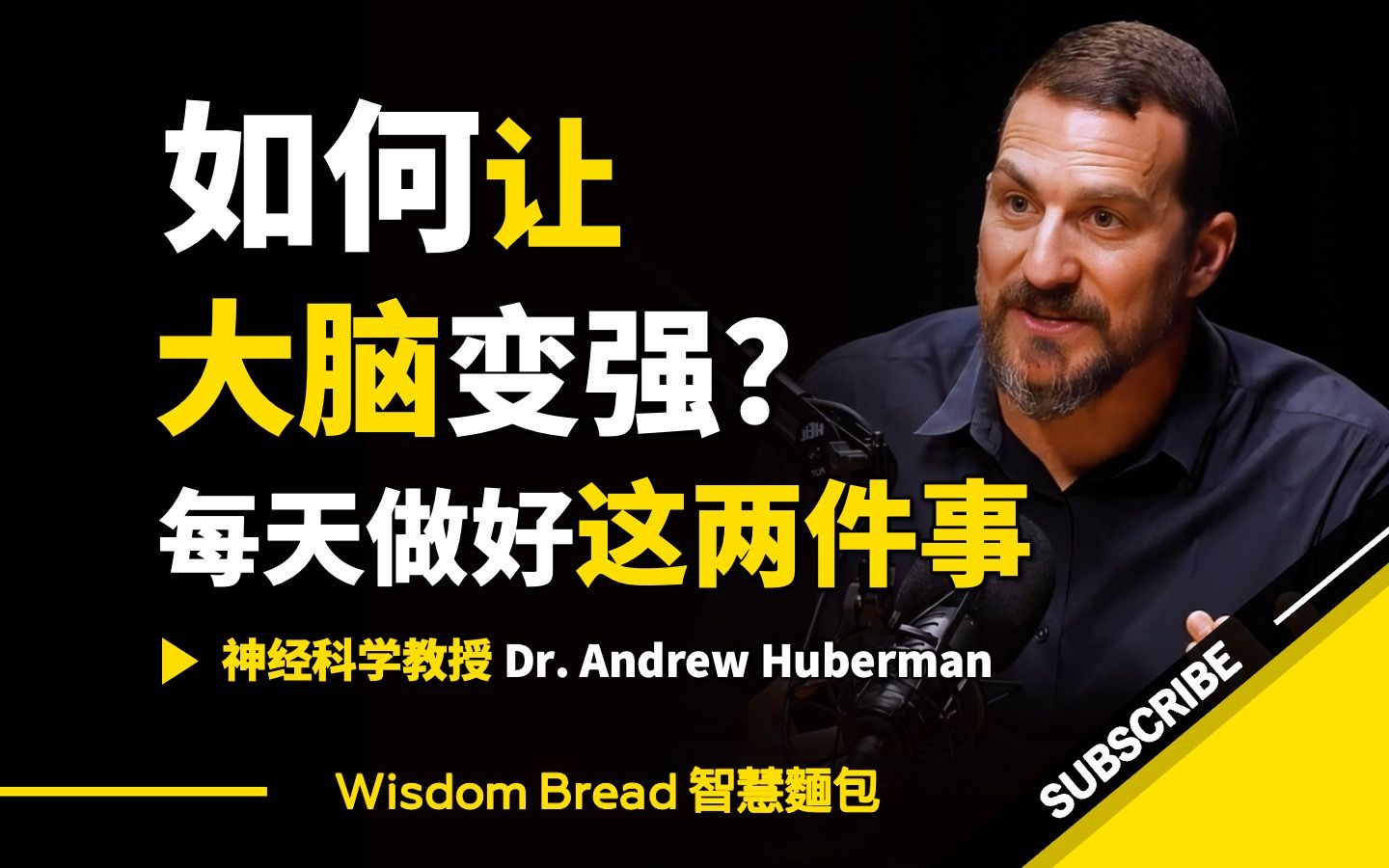 如何让大脑变强? ► 每天做好这两件事 𐟧   Dr. Andrew Huberman 安德鲁.胡伯曼博士(中英字幕)哔哩哔哩bilibili