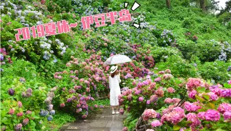 伊豆半岛行 热海 哔哩哔哩 Bilibili