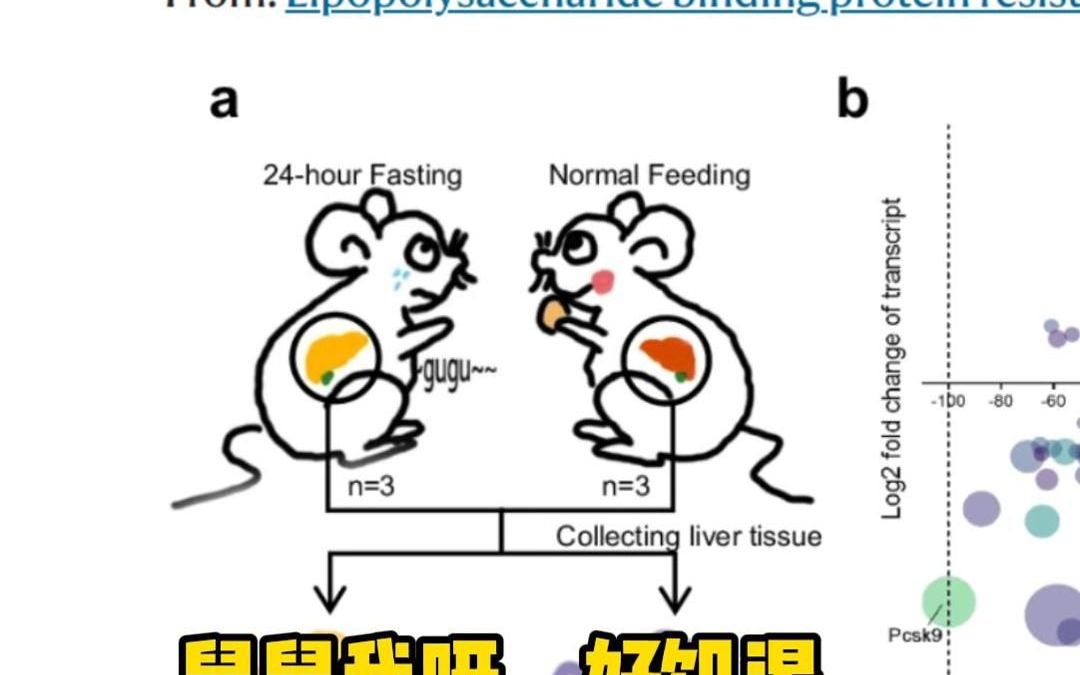 不愧是顶刊,以后文献配图都走这种路线哔哩哔哩bilibili