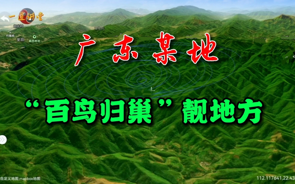 [图]广东某地“百鸟归巢”靓地方，你看看怎么样？