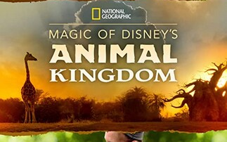 [图]【纪录片】迪士尼动物王国 Magic of Disney's Animal Kingdom (2020)