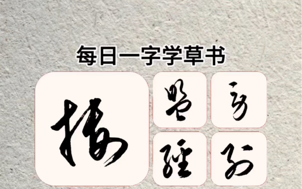 每日一字學草書