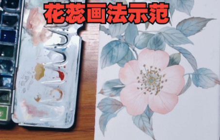 [图]3-第四集 花蕊画法讲解与示范 . 花草植物篇