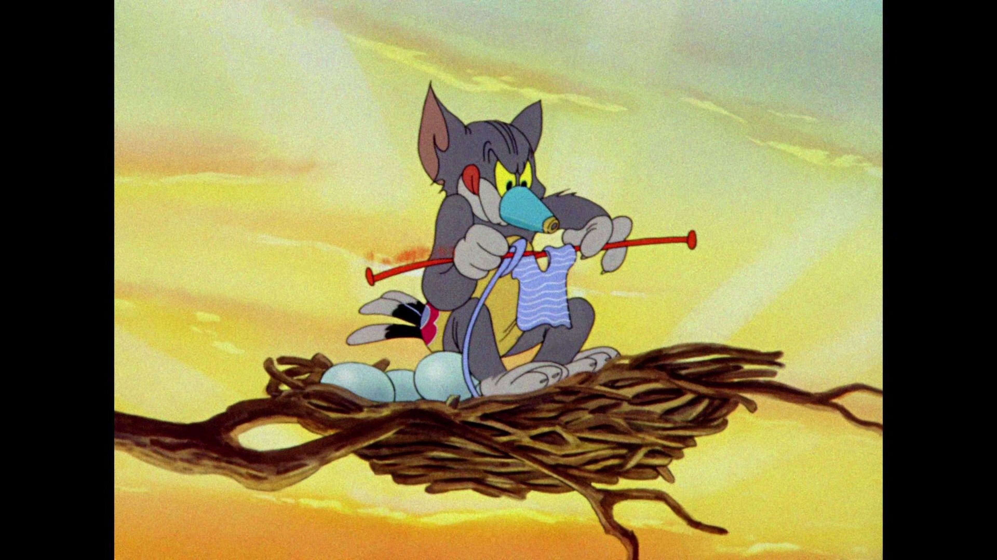 猫和老鼠黄金合集第一卷1940