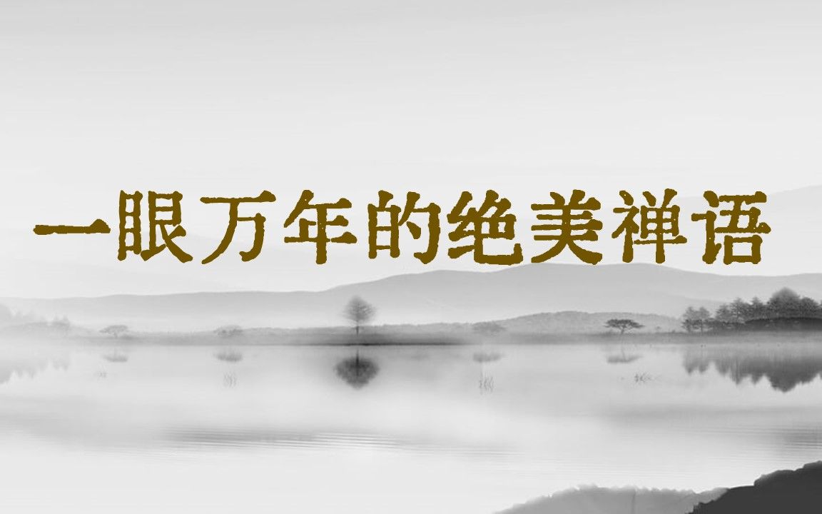 一眼万年的绝美禅语 | “休言万事转头空,未转头时皆梦”哔哩哔哩bilibili