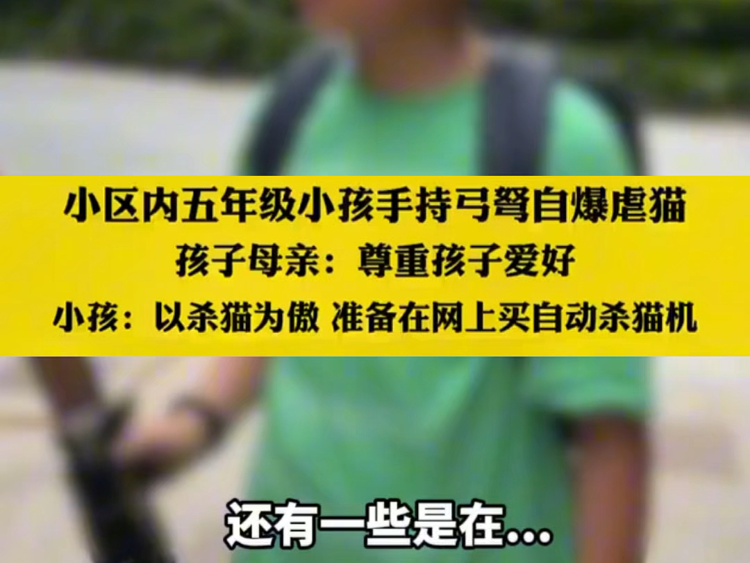 从一个孩子口中听到这些话,只觉得毛骨悚然哔哩哔哩bilibili