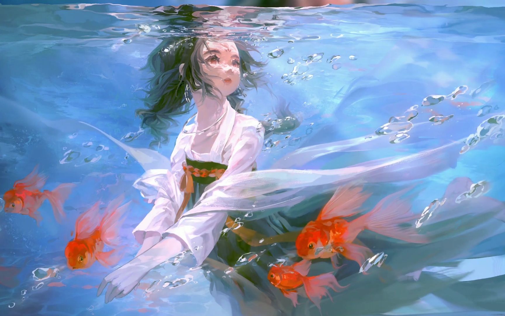 【动态壁纸】水下的鱼鱼
