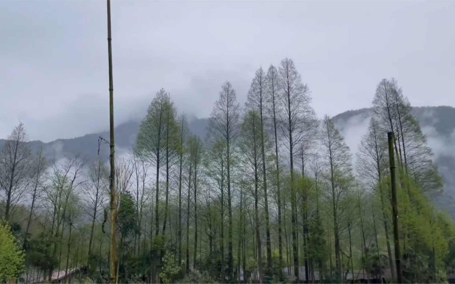 崇州鸡冠山琉璃农庄露营之旅哔哩哔哩bilibili