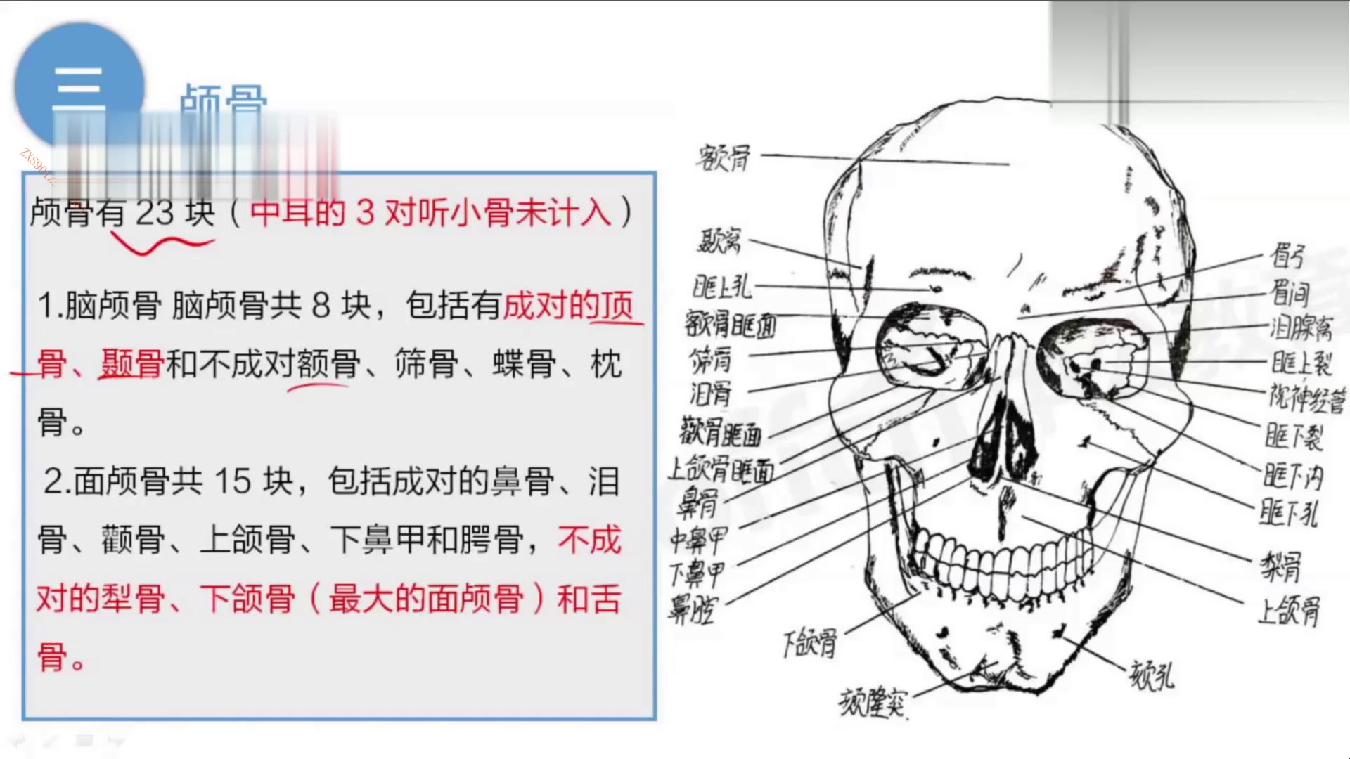 [图]2022年医疗卫生招聘考试 医学基础知识 生理学 病理学