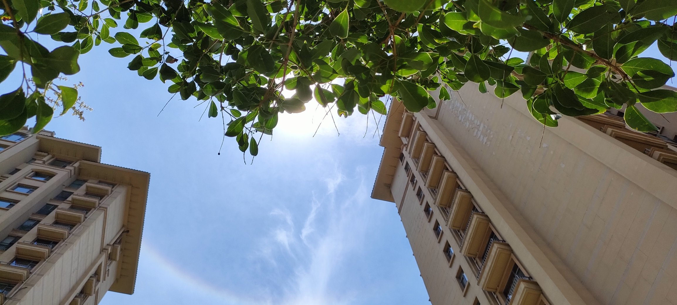 阳光普照,吉祥如意,见者好运连连,霉运消散,福寿安康,所愿皆满