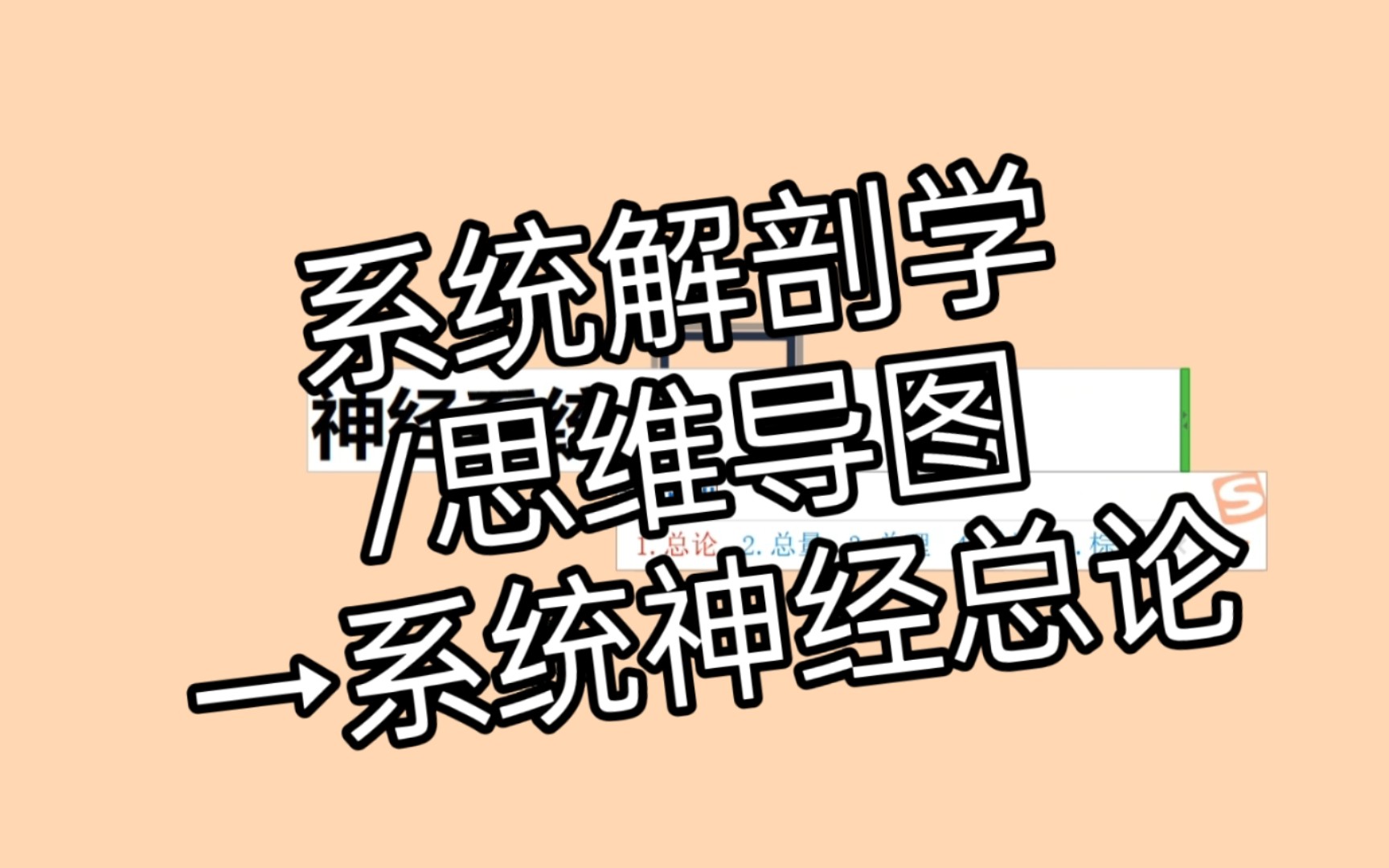 【系统解剖学笔记】系统神经总论→系统解剖学/霍琨老师/思维导图哔哩哔哩bilibili