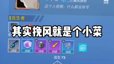 逃跑吧少年挽风