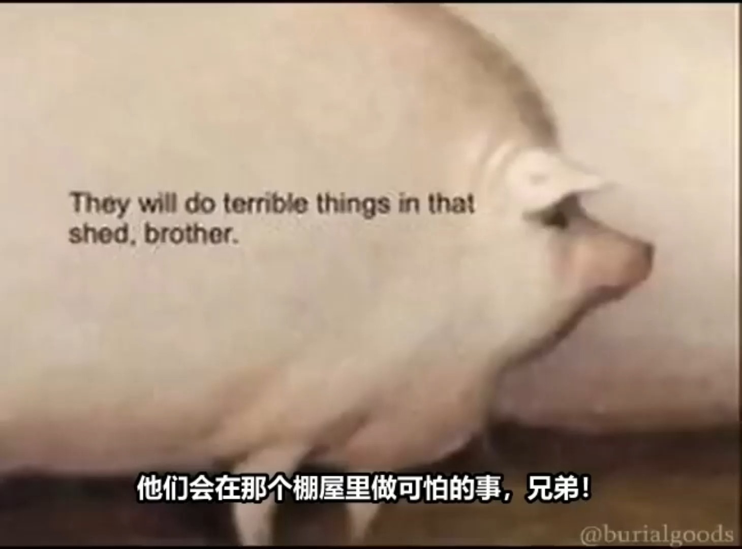 oink,给我一口燕麦吧!(原声大猪配音版)哔哩哔哩bilibili