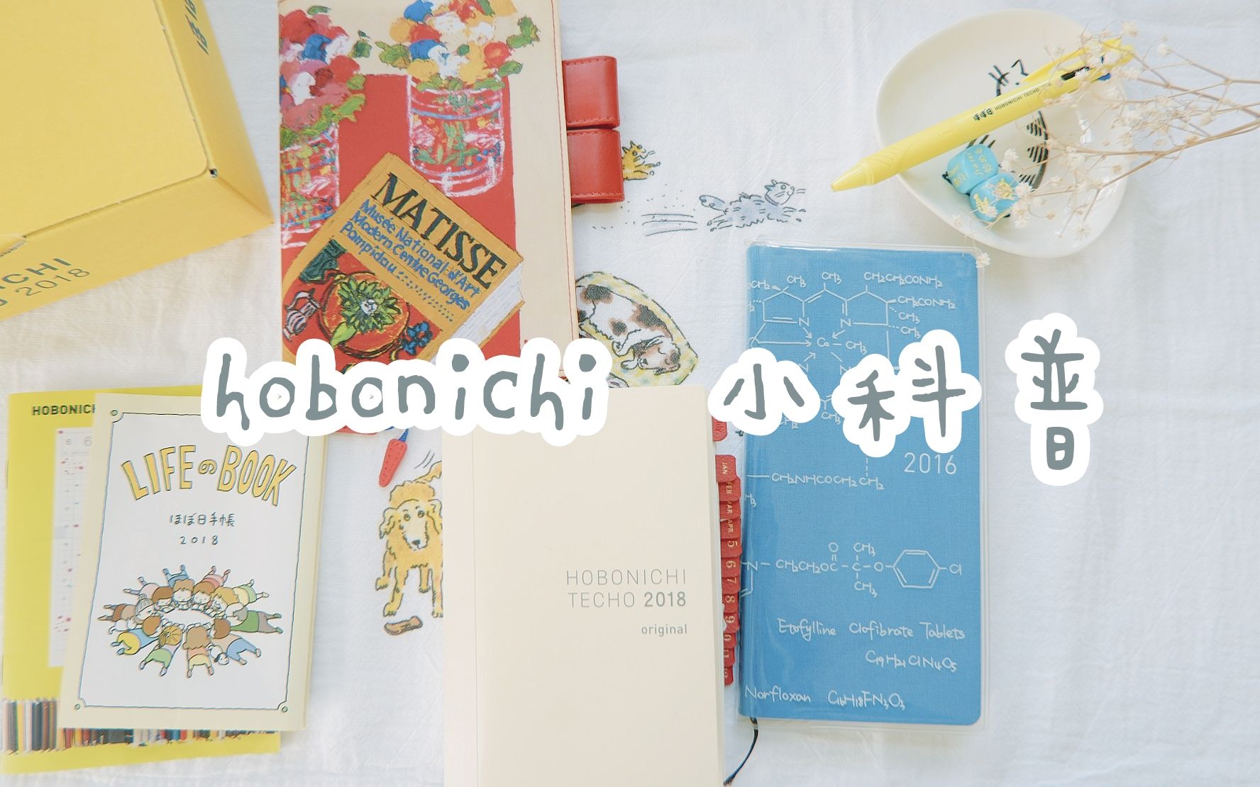 【干货】Hobonichi 小科普 | 萌新向 | 官网操作小指南 | 不能我一个人上交钱包!哔哩哔哩bilibili