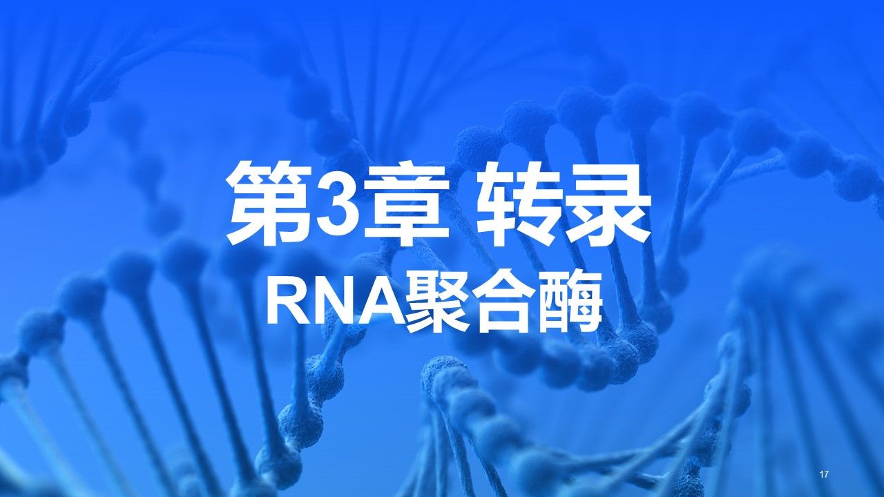 【分子生物学】第3章 转录 | 第2节 RNA聚合酶哔哩哔哩bilibili