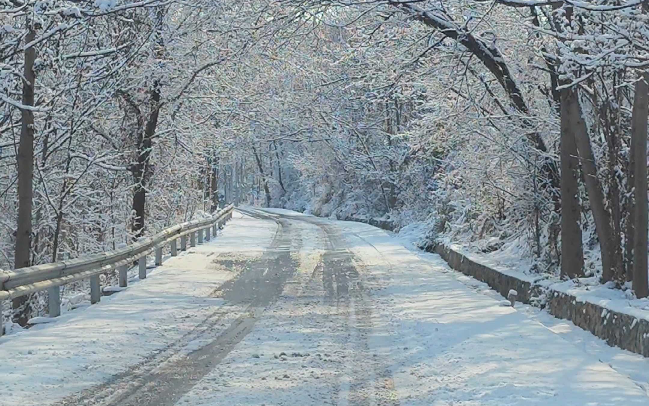 淄博淄川,雪后的太河,宛如童话哔哩哔哩bilibili