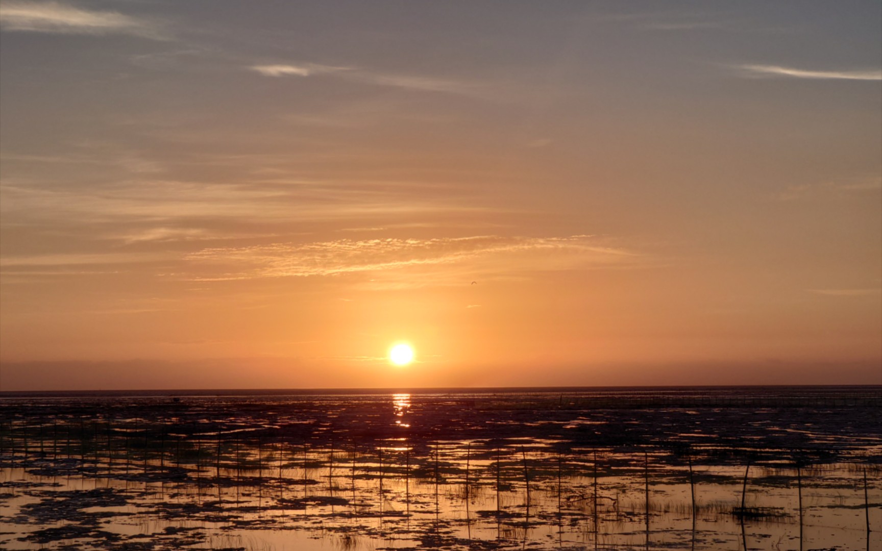 你见过凌晨四点的太阳吗大疆djiair2s