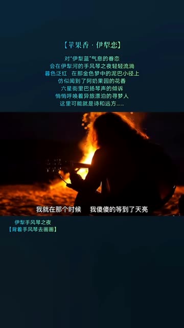 尹海燕的《苹果香》哔哩哔哩bilibili