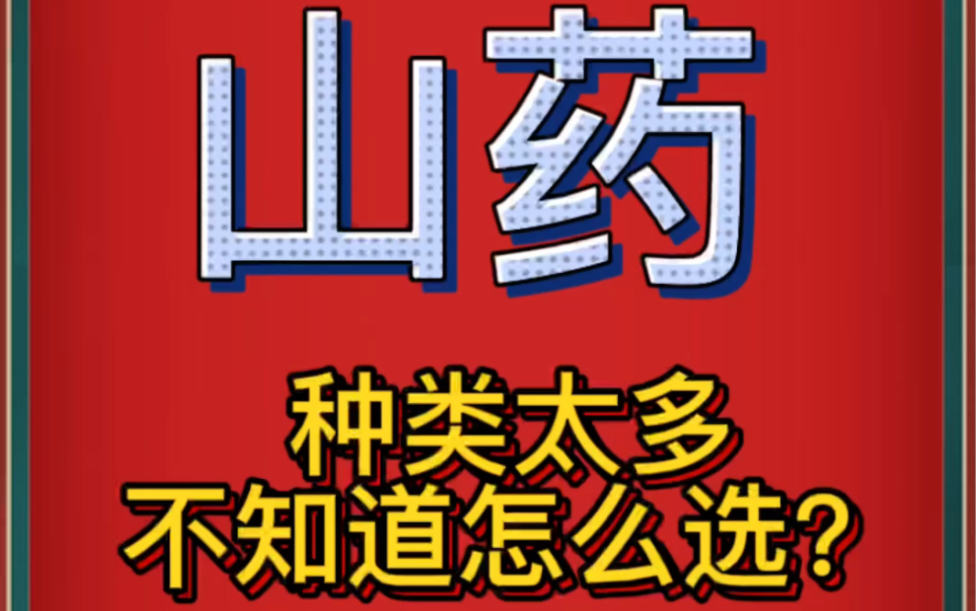 中药材批发市场山药价格行情哔哩哔哩bilibili