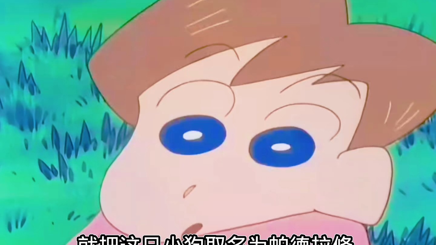 流浪小斗小新帮爷孙俩逆袭