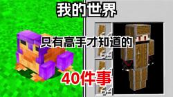 [图]我的世界：只有高手才知道的40件事