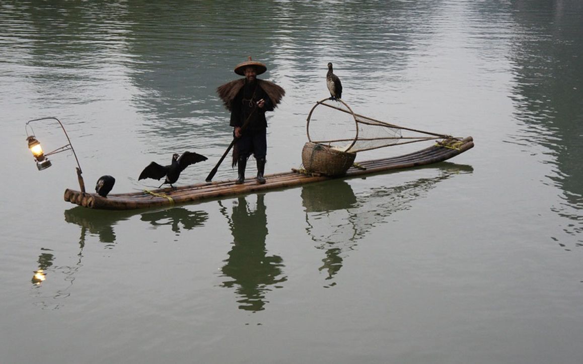 老人双手划船,养的几十只鸬鹚捕鱼,这画面难得一见