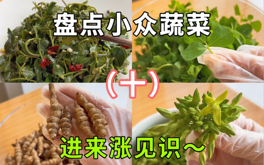 盘点一些小众,但味道不错的蔬菜~第!十!期!哔哩哔哩bilibili