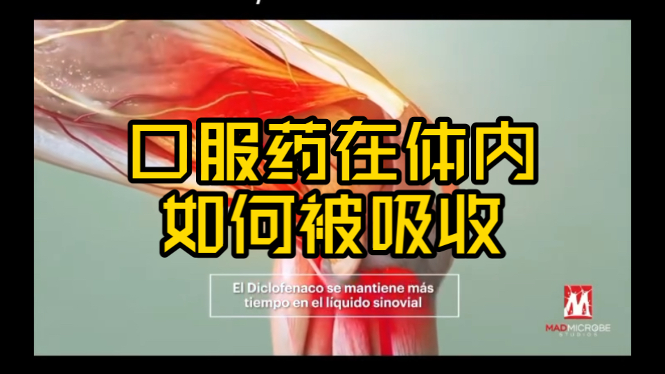 口服药在体内吸收代谢过程