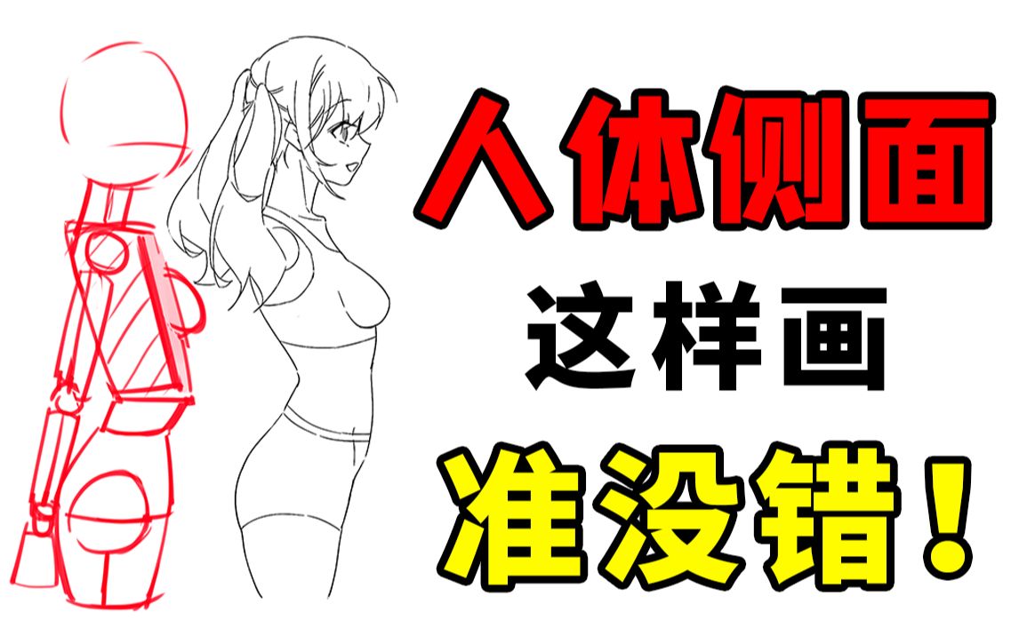 【人体结构】小白狂喜!简单4步学会人体侧面画法!哔哩哔哩bilibili