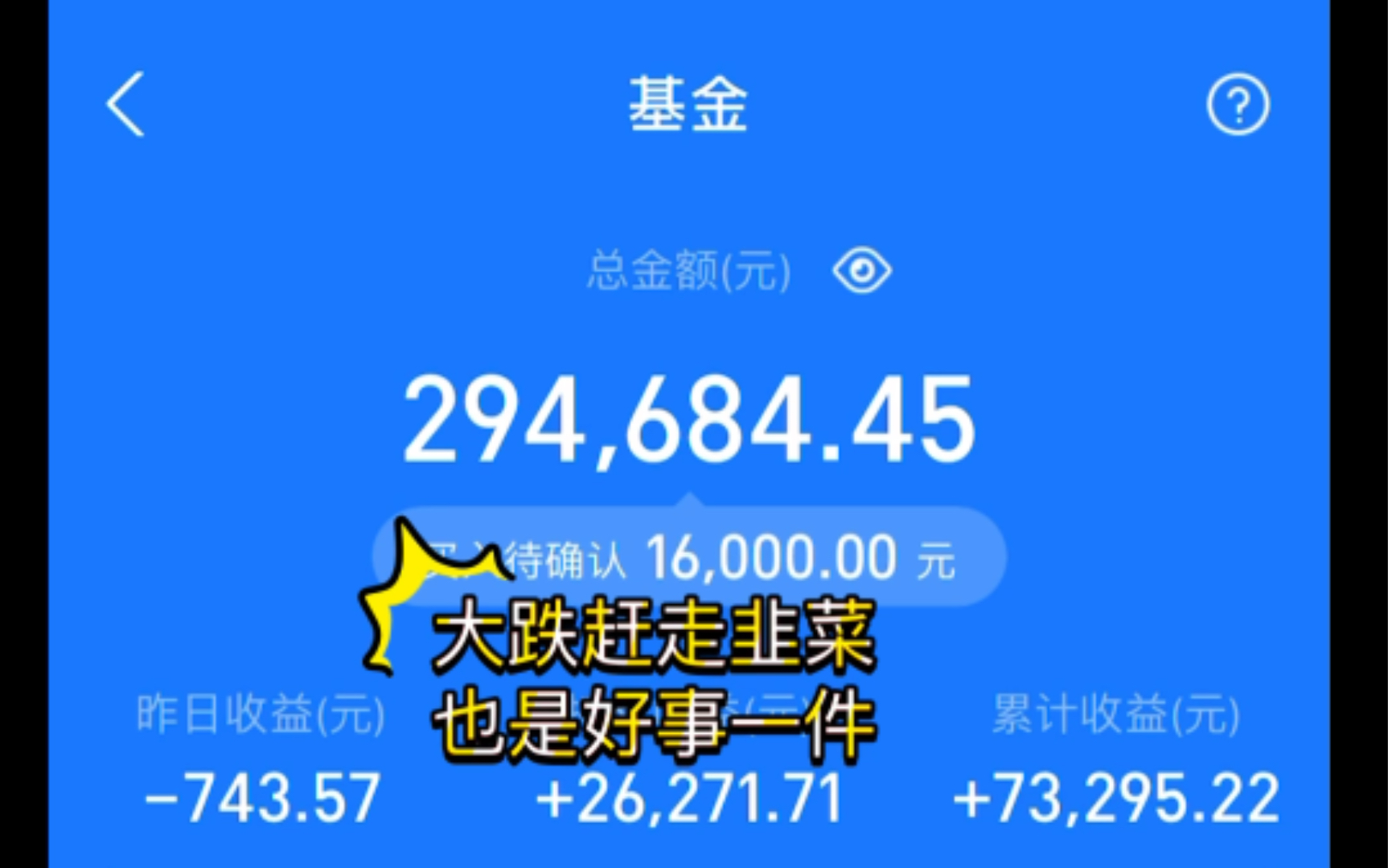 2021.1.28基金股票收益:1万元;继续加仓1.6万!危中有机,大家切勿盲目跟进!哔哩哔哩bilibili