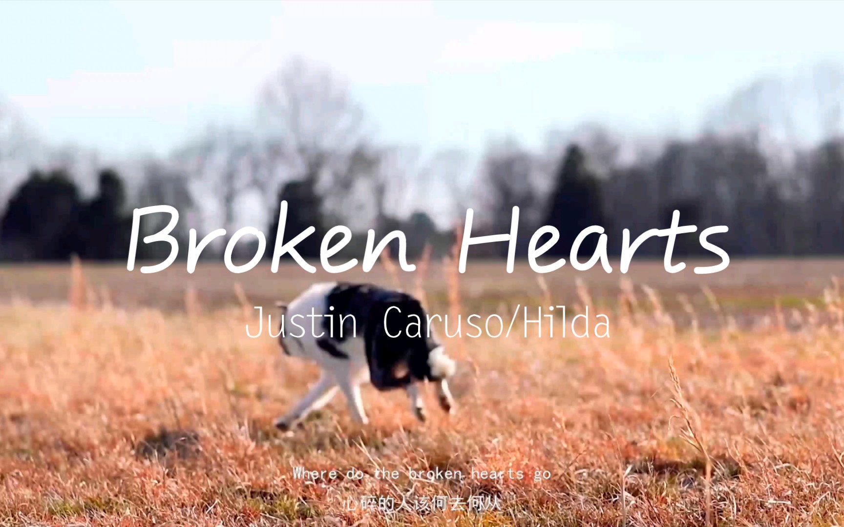 [图]【音乐推荐】《Broken Hearts》小姐姐的嗓音和电音巧妙地结合在一起，听起来很舒服。愿这世间喧闹，愿我仍是我。祝屏幕前的你天天开心噢♥