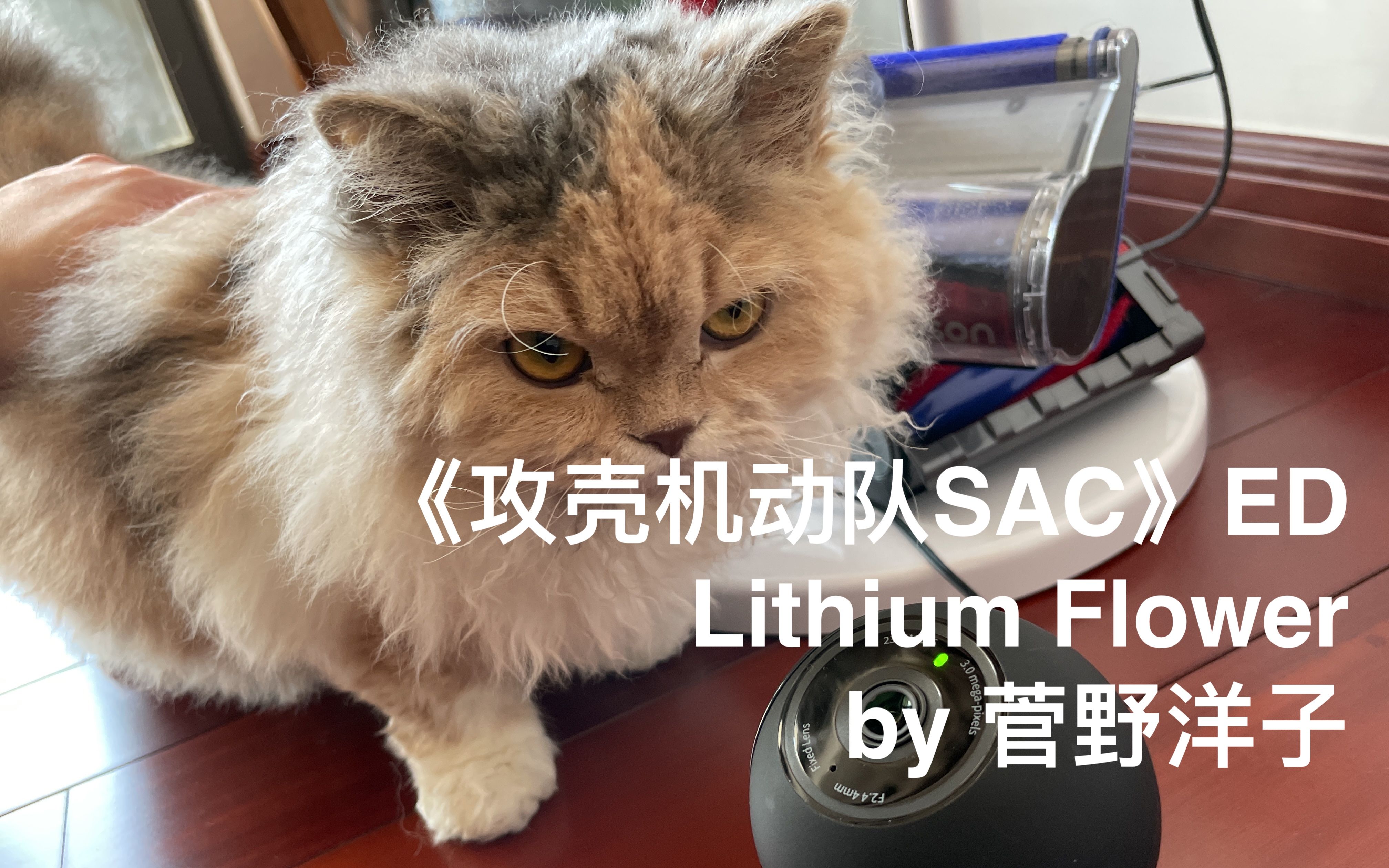 [图]【蹦迪猫】《攻壳机动队SAC》ED Lithium Flower feat. 麦片 by 菅野洋子