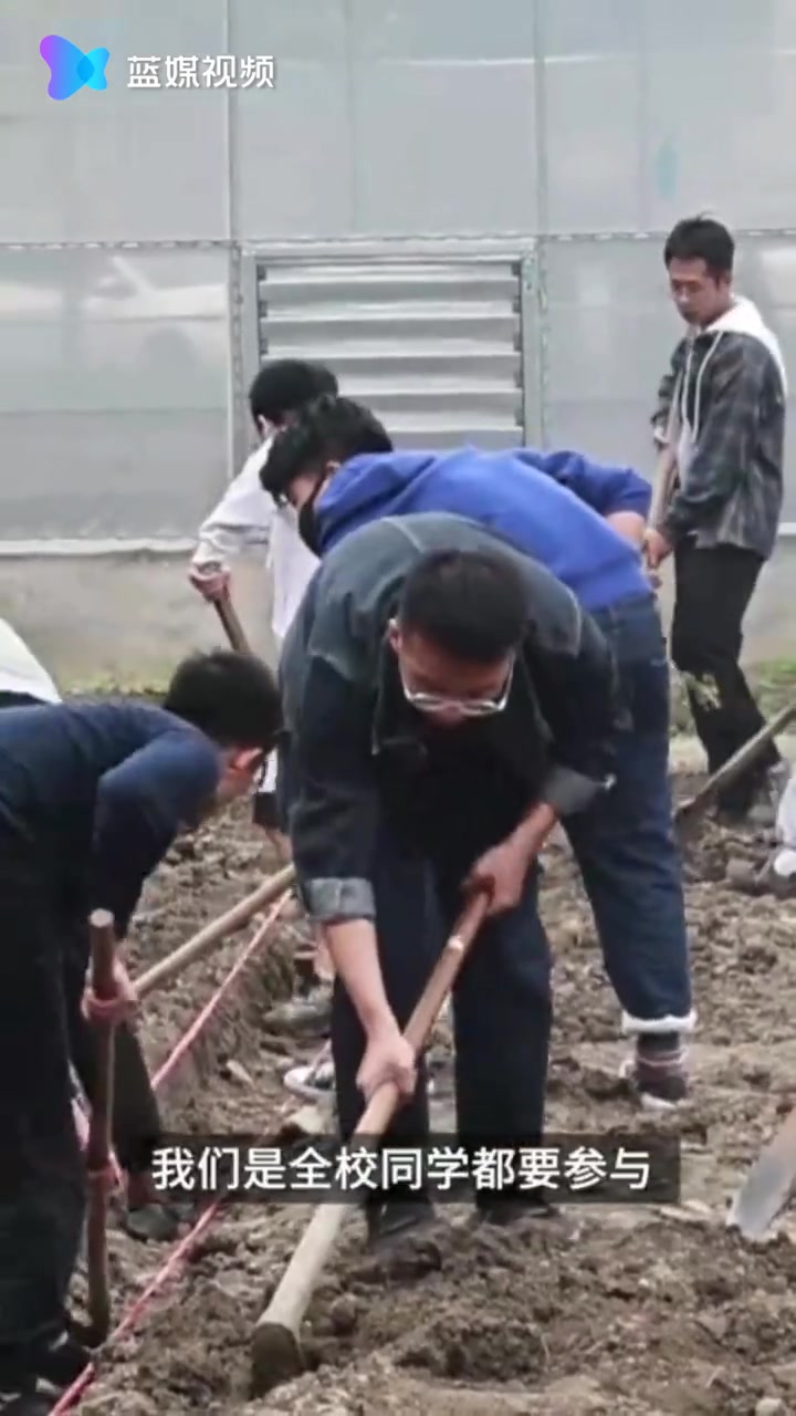 四川一高校开设种田必修课 学生下地挣学分哔哩哔哩bilibili