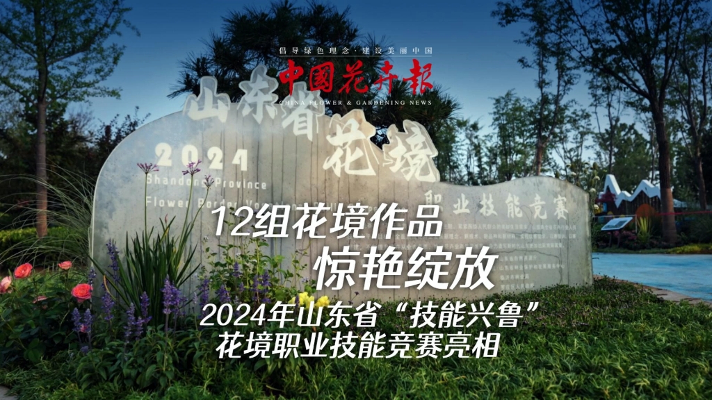 12组花境作品惊艳绽放,2024年山东省“技能兴鲁”花境职业技能竞赛亮相#中国花卉报#花境#花境竞赛哔哩哔哩bilibili