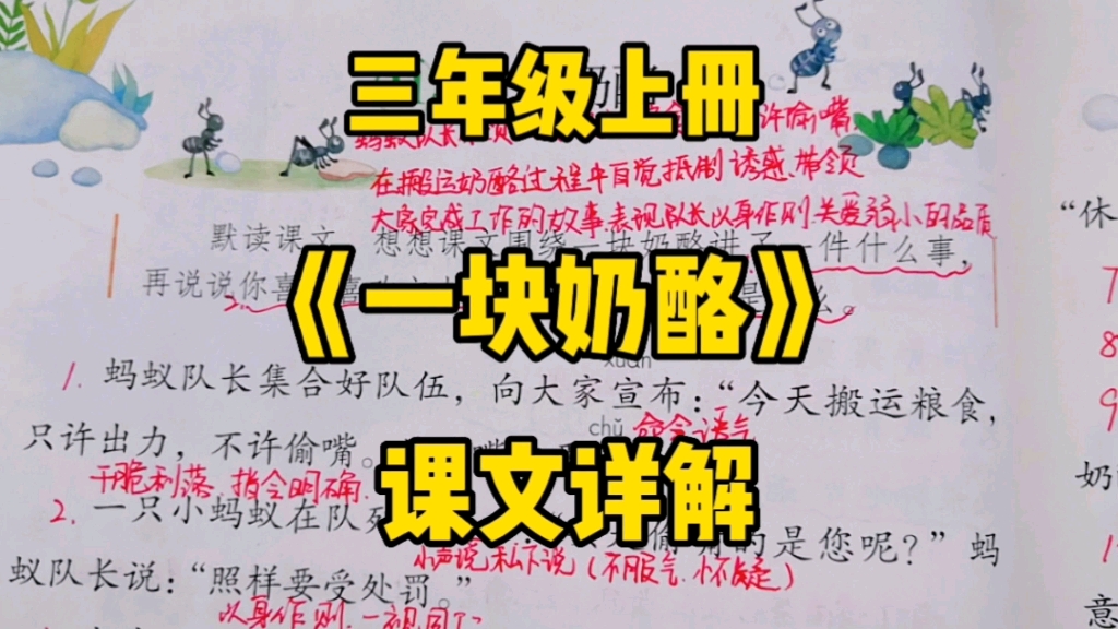 [图]三年级语文上册：《一块奶酪》课文详解，蚂蚁队长到底能不能抵抗住奶酪的诱惑呢？一起走进课文了解一下吧！