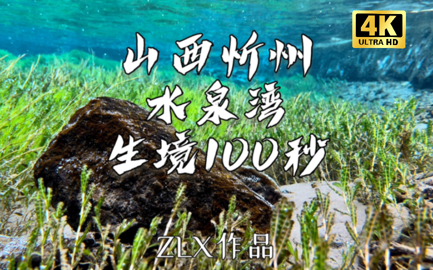 水下生境100秒|山西忻州水泉湾 2 这又是一处鲜有人知且极其美丽的水下秘境,在各种水草和洁净的泉水的相互配合下,这处大自然的作品显得平静而细腻...