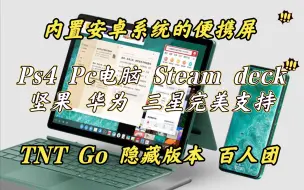 下载视频: [垃圾佬]你从未见过的便携屏 坚果TNTgo 隐藏版开箱评测