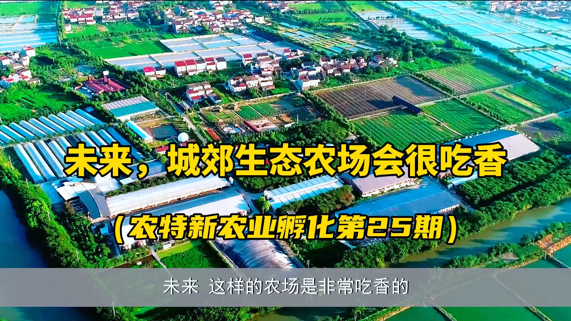 未来,城郊的生态农场会很吃香!如何打造一个城郊生态农场,实现种养结合、一二三产融合的新农业模式?浙江的这个案例值得大家学习借鉴,哔哩哔哩...