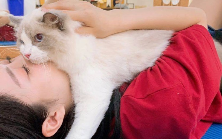 【郑丹妮】郑丹妮电台挑选cut