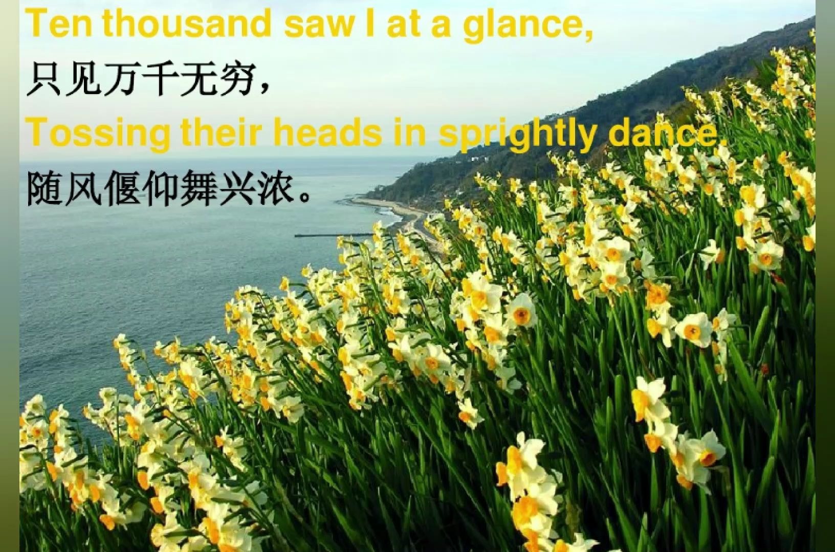 ＂The Daffodils＂ recited by young哔哩哔哩bilibili