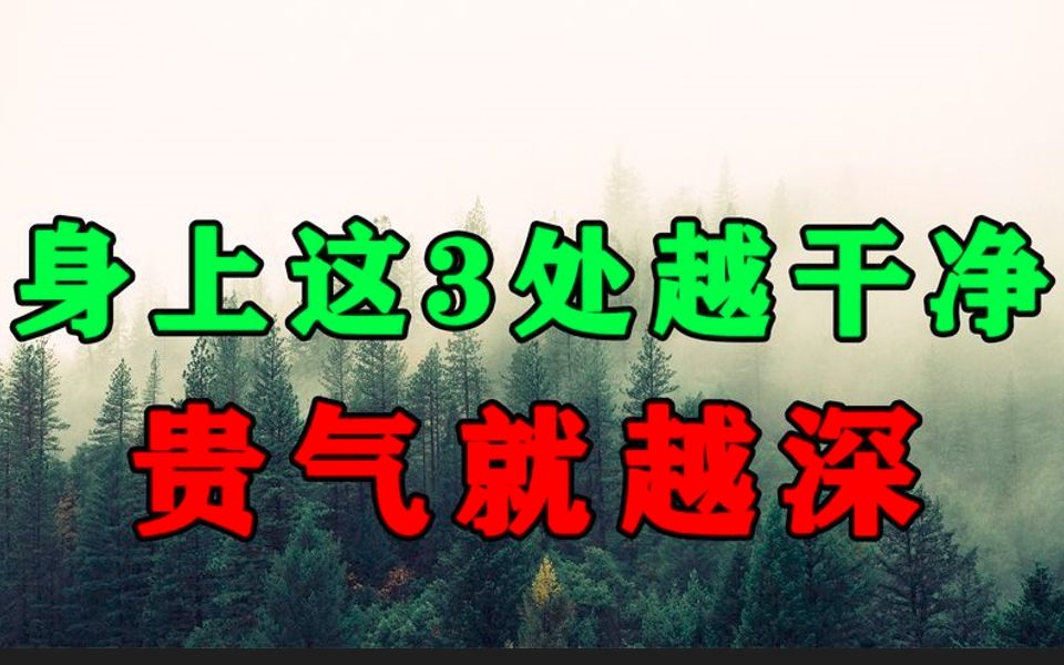 人有静气,风度自来!身上这三处越干净的人,往往贵气就越深.哔哩哔哩bilibili