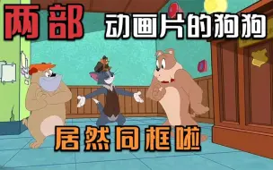 Télécharger la video: 搞笑配音：猫鼠侦探都懵啦，两个长海大狗居然同框啦，梦幻联动