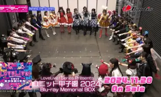 Download Video: LoveLive! 甲子园 BD试看