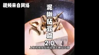 Download Video: 挑战泥鳅钻豆腐2.0、这个菜已经失传了