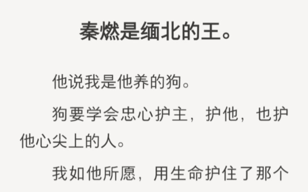 秦然是缅北的王,他说我是他养的狗,要护住她他的心上人……zhihu小说《北方蔷薇》.哔哩哔哩bilibili