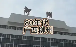 Descargar video: 80年代，广西柳州，以前的城市面貌生活日常还记得吗